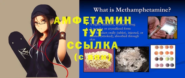 дмт Инсар
