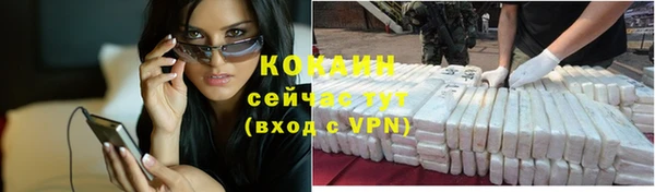 дмт Инсар