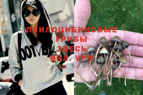 экстази Инта
