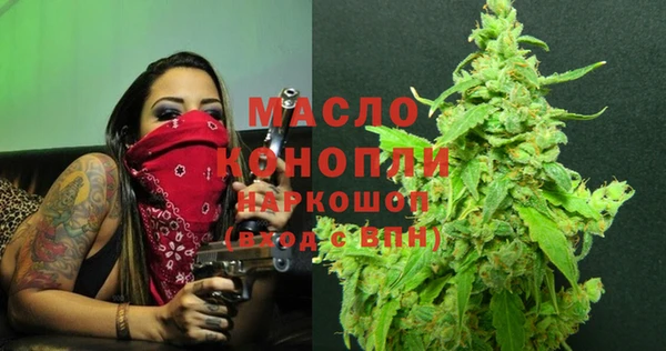 дмт Инсар