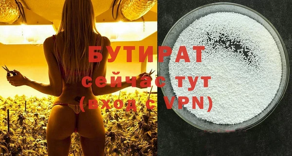 дмт Инсар