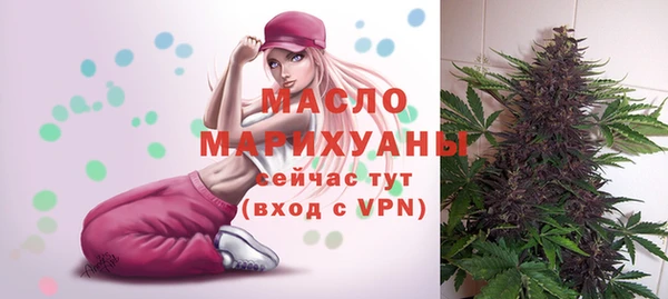 дмт Инсар